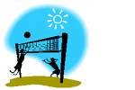 Beach Volley