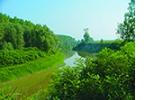 Parco delle Golene Foce Secchia