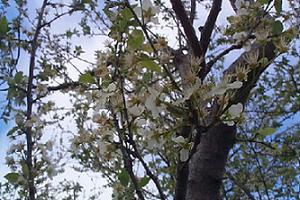 Dall'Ufficio Ecologia
